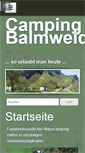 Mobile Screenshot of camping-meiringen.ch